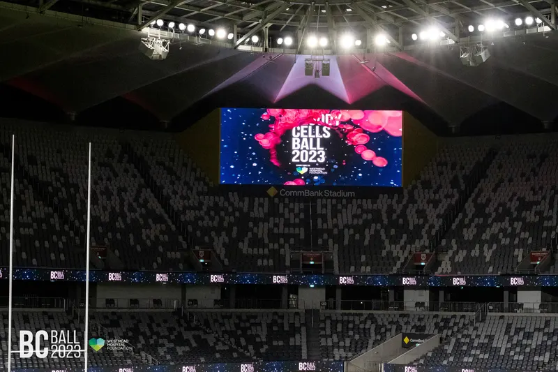 Bloody Cells Ball 2023 — Bloody Cells Ball 2025