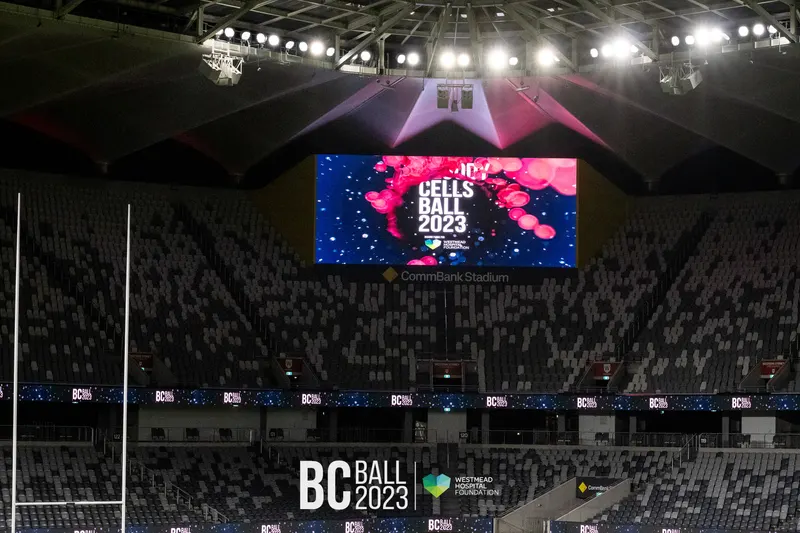 Bloody Cells Ball 2023 — Bloody Cells Ball 2025