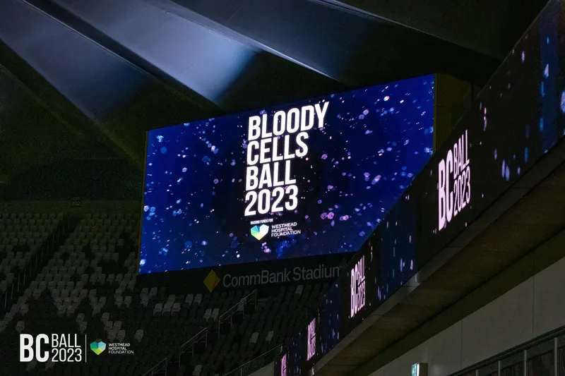 Bloody Cells Ball 2023 — Bloody Cells Ball 2025