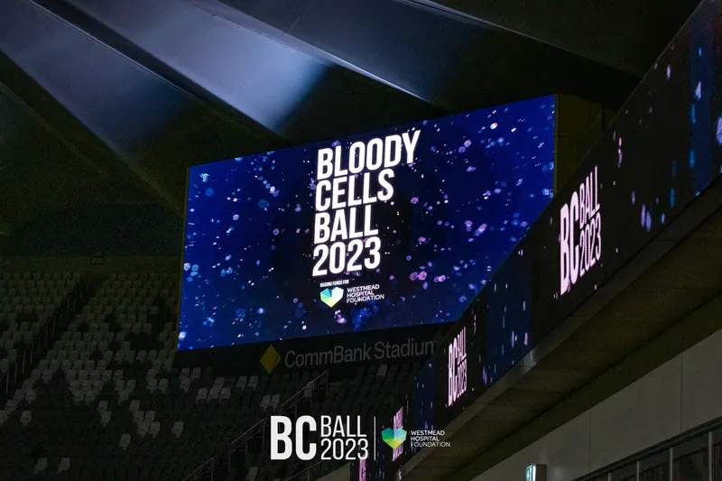 Bloody Cells Ball 2023 — Bloody Cells Ball 2025