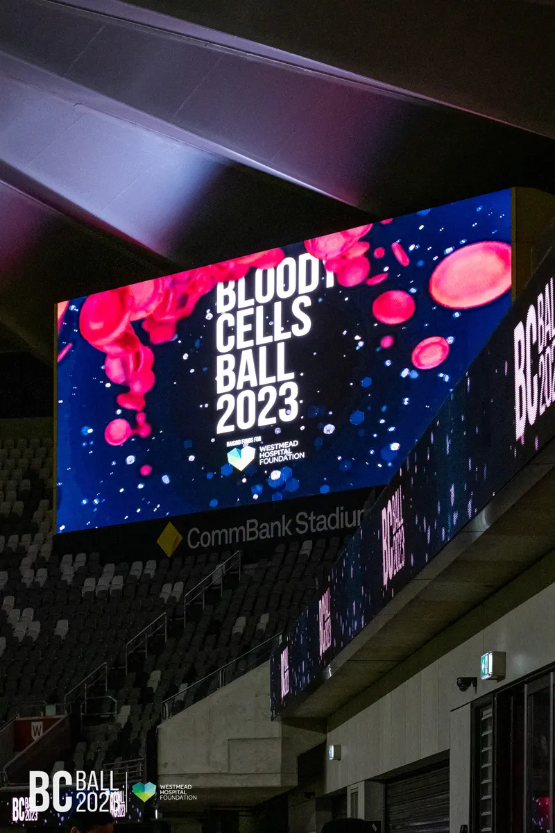 Bloody Cells Ball 2023 — Bloody Cells Ball 2025