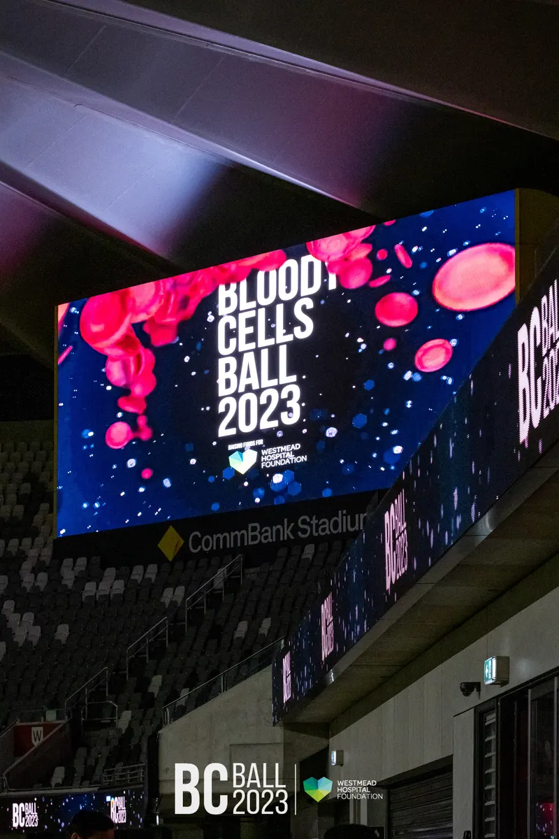 Bloody Cells Ball 2023 — Bloody Cells Ball 2025