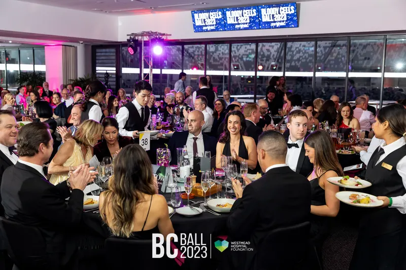 Bloody Cells Ball 2023 — Bloody Cells Ball 2025