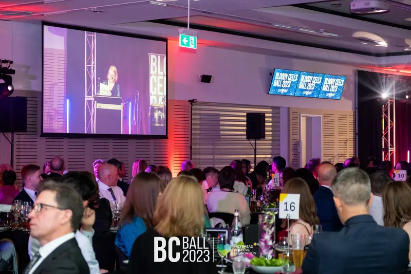 Bloody Cells Ball 2023 — Bloody Cells Ball 2025
