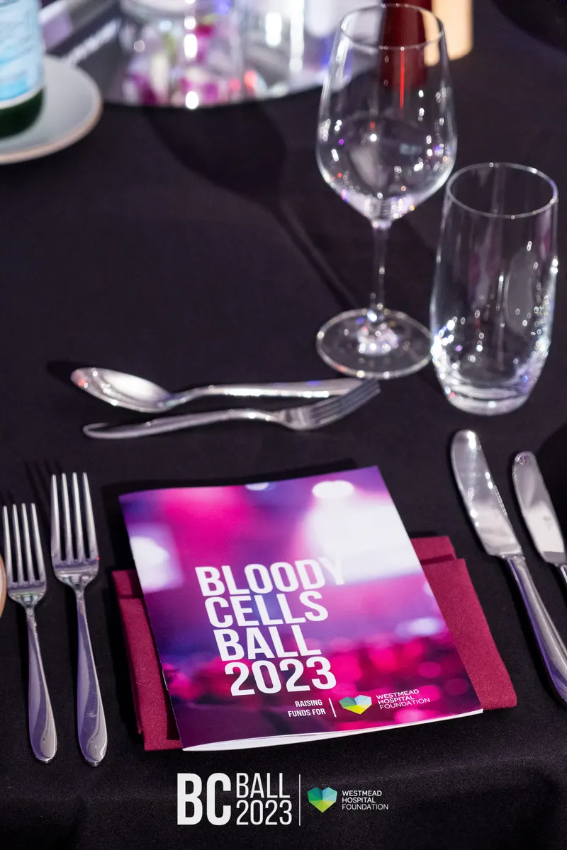 Bloody Cells Ball 2023 — Bloody Cells Ball 2025